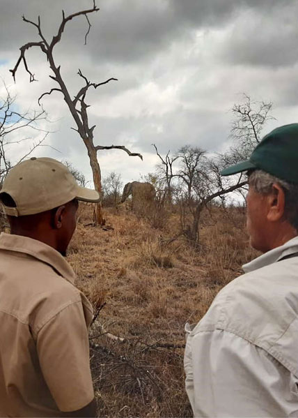 BIG 5 Walking Safari